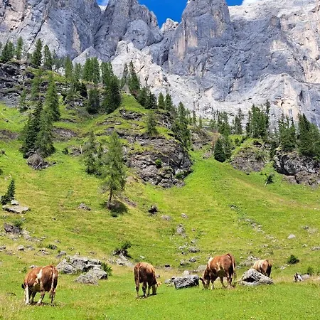 Apartment Staguda 59