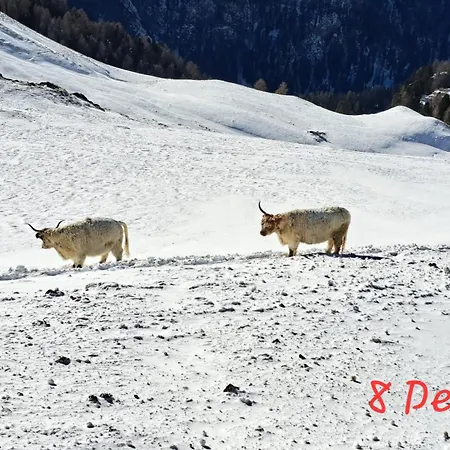 Staguda 59 Lejlighed Sottoguda