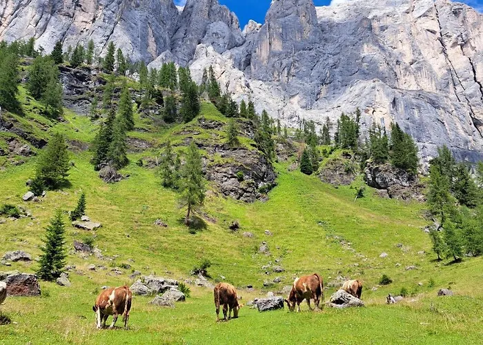 Appartamento Staguda 59