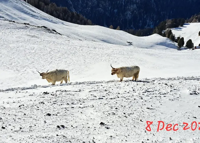 Staguda 59 Appartamento Sottoguda